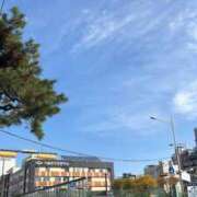 ヒメ日記 2025/11/19 21:32 投稿 せいら マリン千葉店