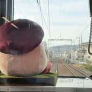 ヒメ日記 2026/01/23 23:52 投稿 ソラ 梅田ゴールデン倶楽部