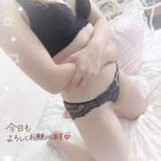 ヒメ日記 2025/09/21 20:29 投稿 つばめ サティアンまーと