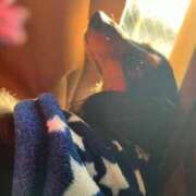 ヒメ日記 2025/12/29 15:11 投稿 らん SS PERO PERO NINE