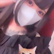 あやせ SS にゃんにゃーん PERO PERO NINE