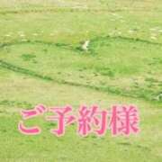 ヒメ日記 2025/12/08 07:18 投稿 雅りょうか お姉さんLABO -艶-