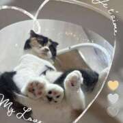 ヒメ日記 2025/09/12 23:52 投稿 ミクル いたずらバニーちゃん