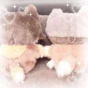 ヒメ日記 2025/11/21 15:20 投稿 ミクル いたずらバニーちゃん