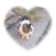 ヒメ日記 2025/11/23 09:50 投稿 ミクル いたずらバニーちゃん