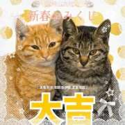 ヒメ日記 2026/01/04 13:50 投稿 ミクル いたずらバニーちゃん