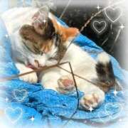 ヒメ日記 2026/03/20 10:50 投稿 ミクル いたずらバニーちゃん