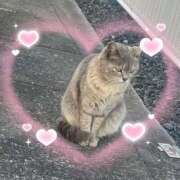 ミクル ねこねこ〜ฅ^_  ̫_^ฅ いたずらバニーちゃん