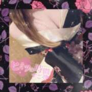 れあ S 🌹12.5🌹 PERO PERO NINE