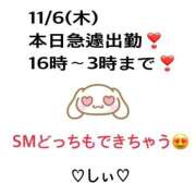 ヒメ日記 2025/11/06 11:01 投稿 しぃ S PERO PERO NINE