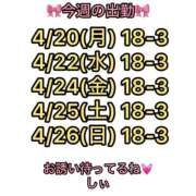 ヒメ日記 2026/04/19 22:41 投稿 しぃ S PERO PERO NINE