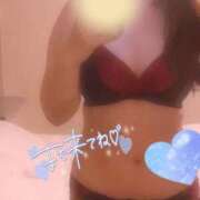 ヒメ日記 2025/12/21 03:01 投稿 ゆきは A+ PERO PERO NINE