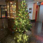 ヒメ日記 2025/11/26 01:49 投稿 れんか【舐めつくす極上時間】 なすがママされるがママ 宇都宮