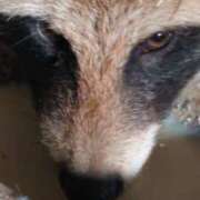 ヒメ日記 2025/12/16 15:07 投稿 れんか【舐めつくす極上時間】 なすがママされるがママ 宇都宮