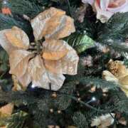 ヒメ日記 2025/12/17 16:26 投稿 れんか【舐めつくす極上時間】 なすがママされるがママ 宇都宮