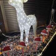 ヒメ日記 2025/12/25 01:16 投稿 れんか【舐めつくす極上時間】 なすがママされるがママ 宇都宮