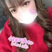 ヒメ日記 2026/01/15 11:30 投稿 あいら 僕らのぽっちゃリーノin春日部