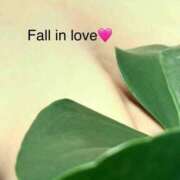 ヒメ日記 2025/09/06 14:54 投稿 せんり 水戸人妻花壇