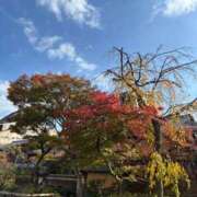 ヒメ日記 2025/11/18 13:17 投稿 ゆめ いざ候 本館