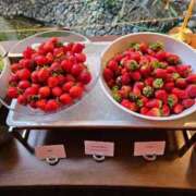 ヒメ日記 2026/02/02 10:25 投稿 なつ 妻の友人