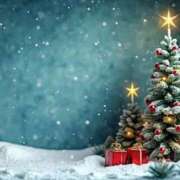 ヒメ日記 2025/12/24 15:03 投稿 白崎(しろさき) 八王子人妻城