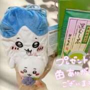 ヒメ日記 2025/12/29 22:03 投稿 白崎(しろさき) 八王子人妻城