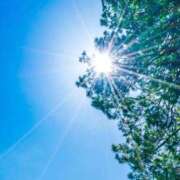 ヒメ日記 2026/01/01 11:18 投稿 白崎(しろさき) 八王子人妻城