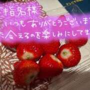 ヒメ日記 2026/02/12 22:57 投稿 白崎(しろさき) 八王子人妻城