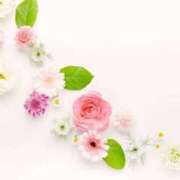 ヒメ日記 2025/09/24 04:31 投稿 花恋(かれん) グランドオペラ横浜