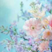 ヒメ日記 2025/09/25 15:31 投稿 花恋(かれん) グランドオペラ横浜