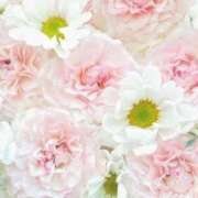 ヒメ日記 2025/10/27 23:11 投稿 花恋(かれん) グランドオペラ横浜