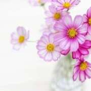 花恋(かれん) 13:00～T様へ📮 グランドオペラ横浜