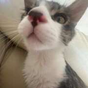 ヒメ日記 2025/09/04 00:29 投稿 みらん ぐっどがーる浜松店