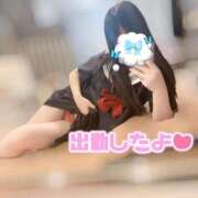 ヒメ日記 2025/10/24 06:03 投稿 らいち ホワイトハウス