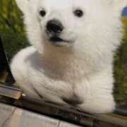 ヒメ日記 2025/09/02 20:38 投稿 中村たま 五十路マダム　和歌山店