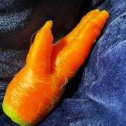 ヒメ日記 2025/09/04 19:30 投稿 中村たま 五十路マダム　和歌山店