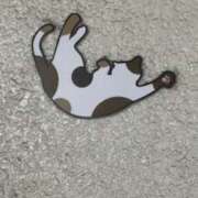 ヒメ日記 2025/09/07 11:38 投稿 中村たま 五十路マダム　和歌山店