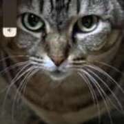 ヒメ日記 2025/09/11 14:18 投稿 中村たま 五十路マダム　和歌山店