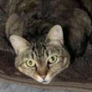 ヒメ日記 2025/09/11 16:40 投稿 中村たま 五十路マダム　和歌山店