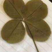 ヒメ日記 2025/09/16 10:36 投稿 中村たま 五十路マダム　和歌山店