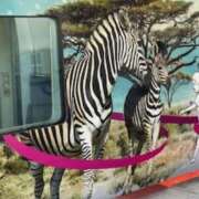 ヒメ日記 2025/09/18 14:52 投稿 中村たま 五十路マダム　和歌山店