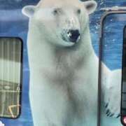 ヒメ日記 2025/09/21 13:56 投稿 中村たま 五十路マダム　和歌山店