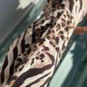 ヒメ日記 2025/09/25 10:22 投稿 中村たま 五十路マダム　和歌山店