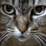 ヒメ日記 2025/10/02 11:34 投稿 中村たま 五十路マダム　和歌山店