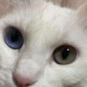 ヒメ日記 2025/10/05 21:06 投稿 中村たま 五十路マダム　和歌山店