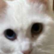 ヒメ日記 2025/10/16 11:30 投稿 中村たま 五十路マダム　和歌山店