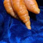 ヒメ日記 2025/10/23 11:46 投稿 中村たま 五十路マダム　和歌山店