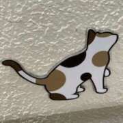 ヒメ日記 2025/11/07 03:32 投稿 中村たま 五十路マダム　和歌山店