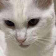 ヒメ日記 2025/11/20 09:46 投稿 中村たま 五十路マダム　和歌山店