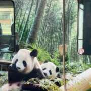 ヒメ日記 2025/11/21 09:28 投稿 中村たま 五十路マダム　和歌山店